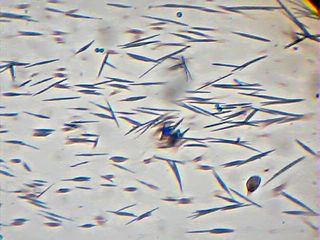 2013_04_21_10_27_24_620.jpg