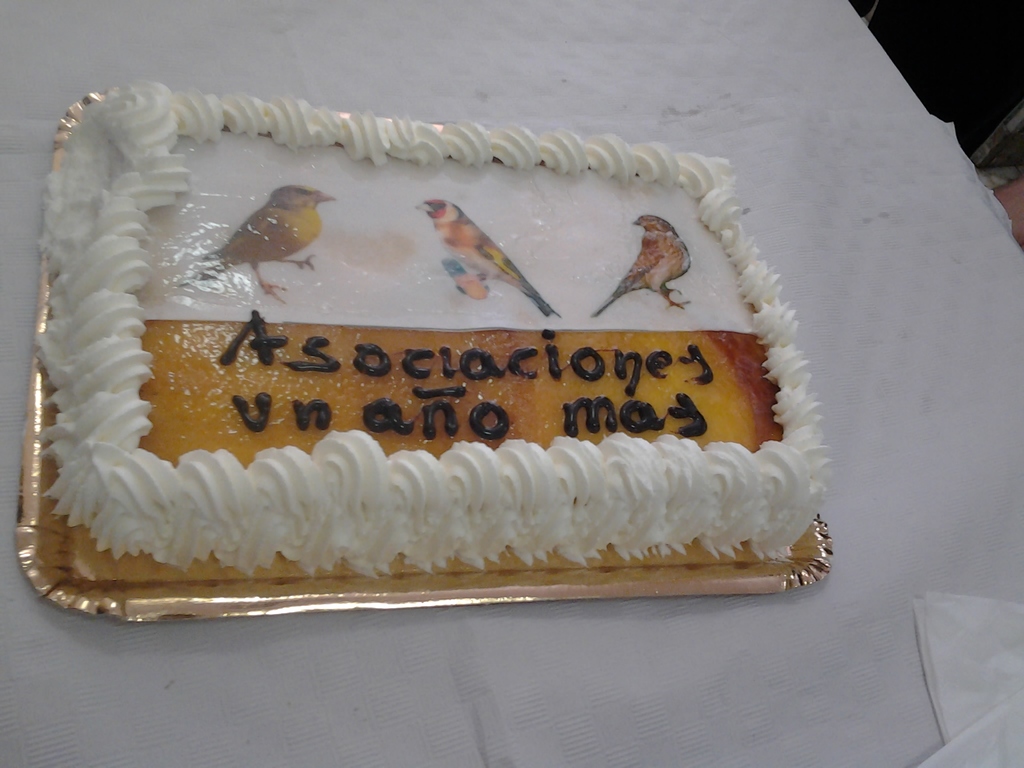 2013-04-21 16.07.38.jpg