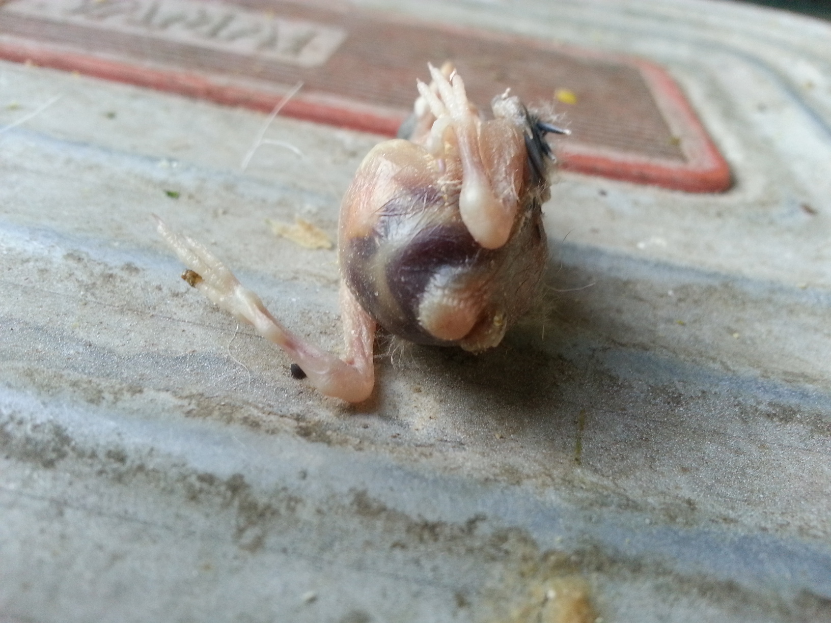 20130423_204902.jpg