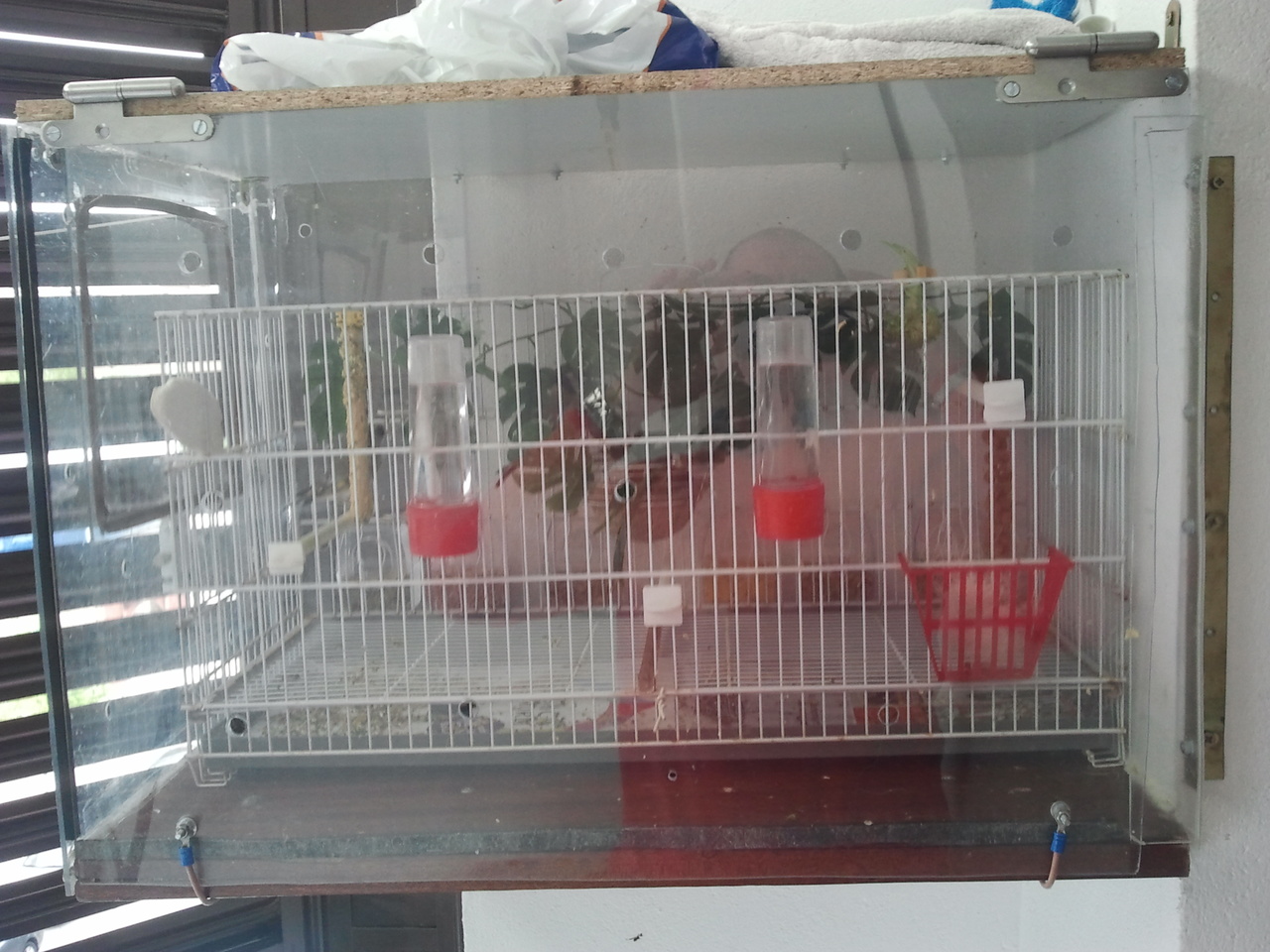 2013-04-28 11.36.17.jpg