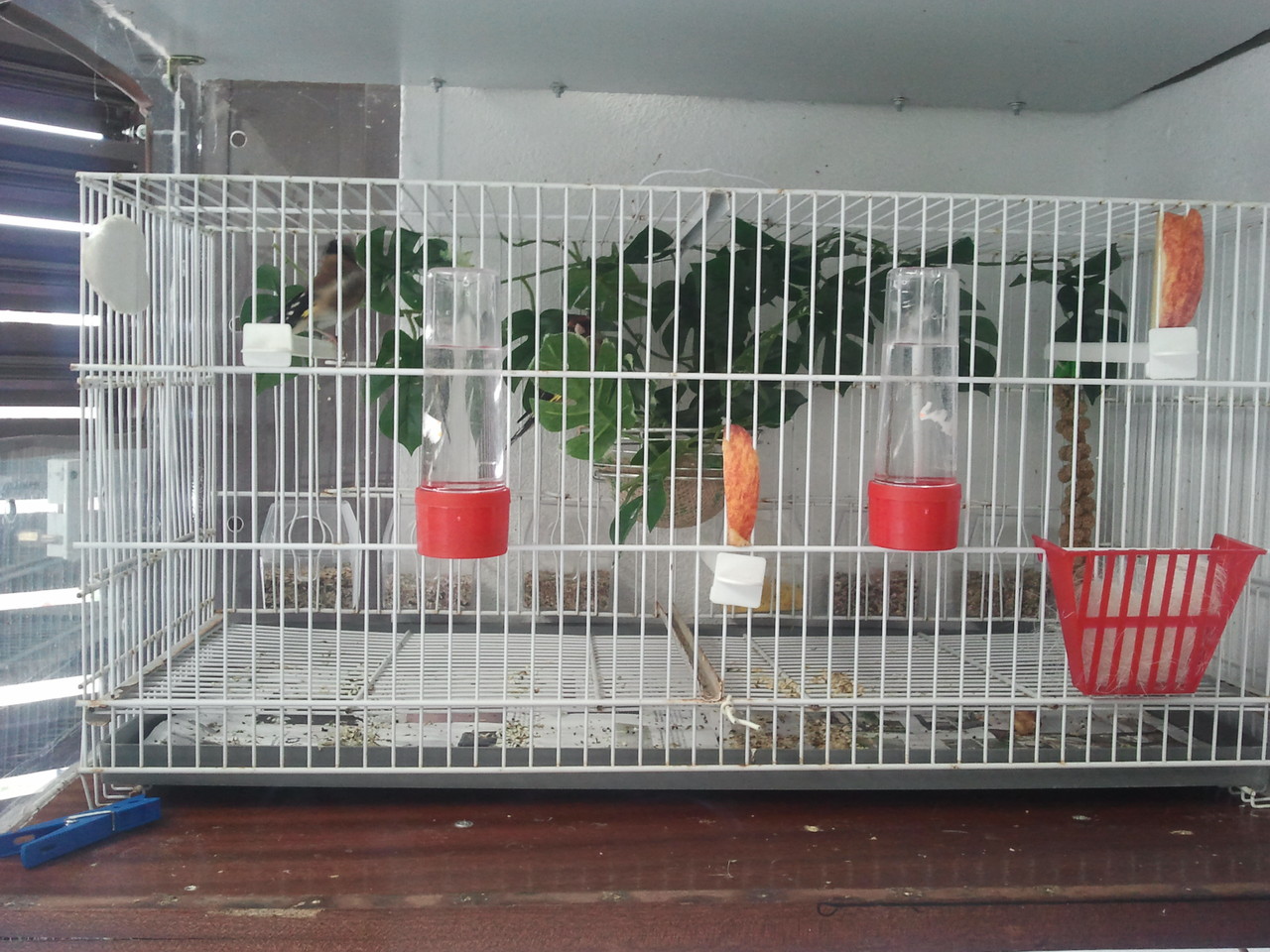 2013-04-26 16.28.07.jpg