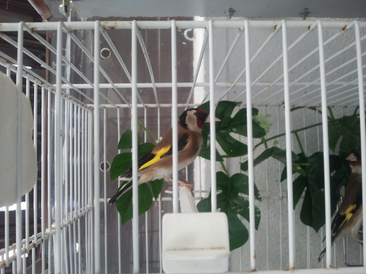 2013-04-26 16.29.06.jpg