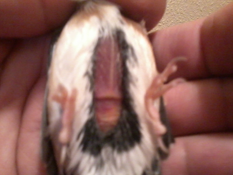 2013-04-28 20.43.31.jpg