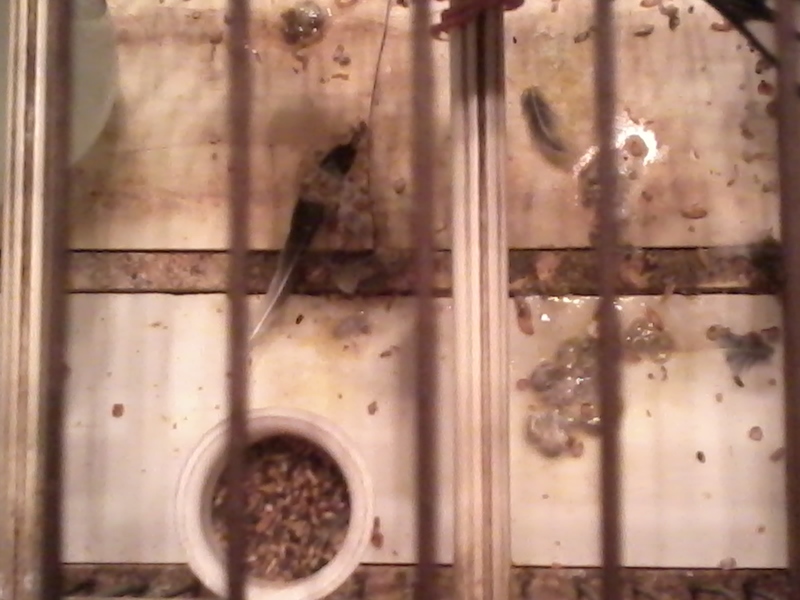 2013-04-28 20.40.42.jpg