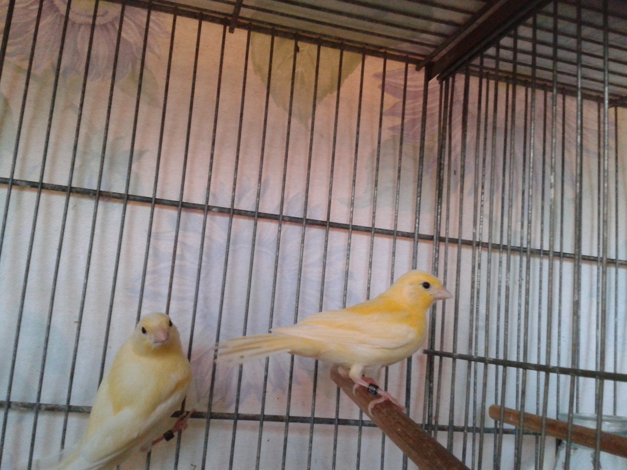 2013-04-28 20.51.39.jpg