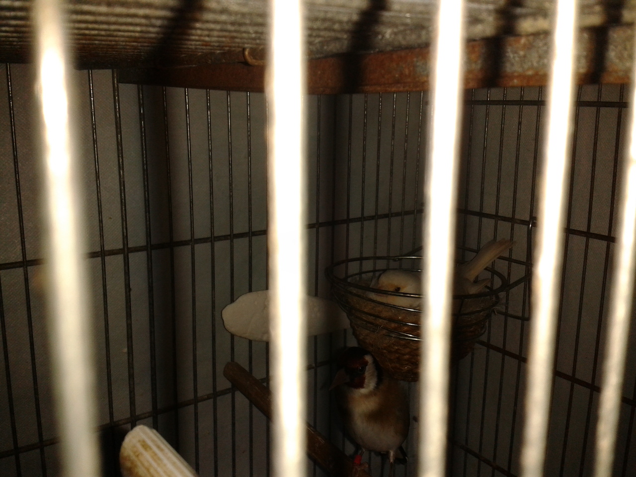 2013-04-28 20.50.33.jpg