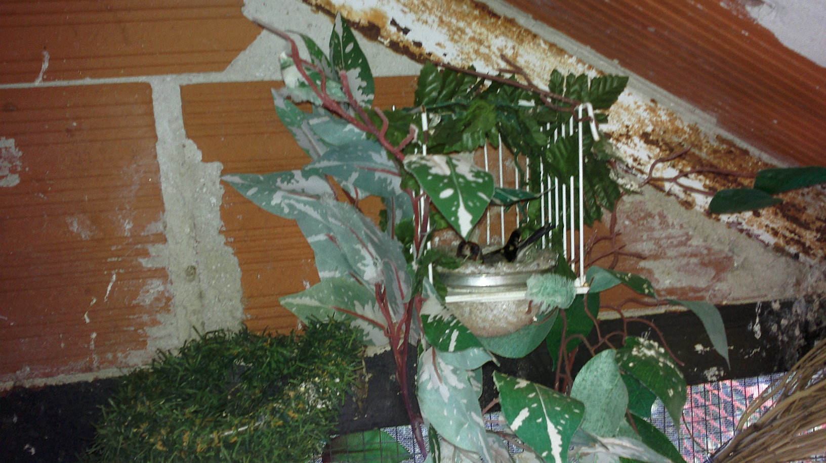 2013-04-19-122.jpg