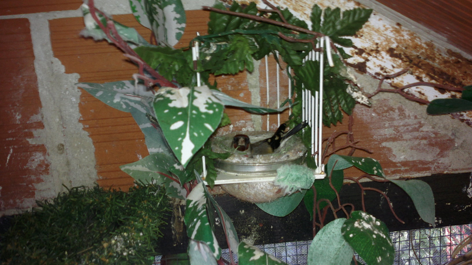 2013-04-19-123.jpg