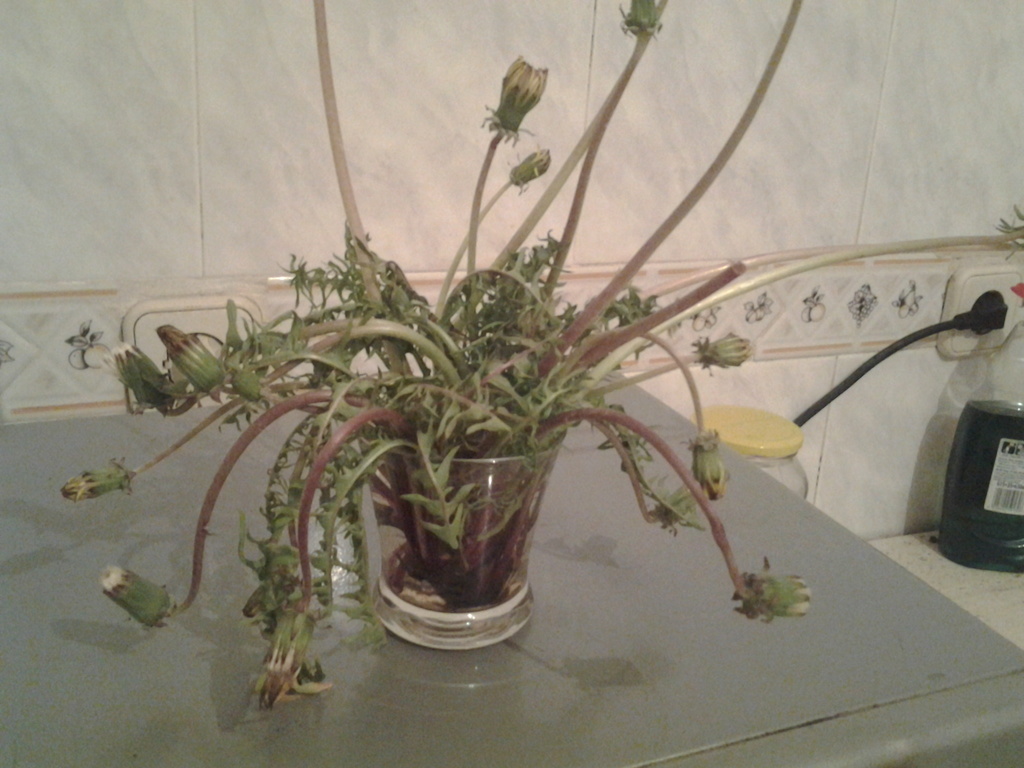 20130430_222433.jpg