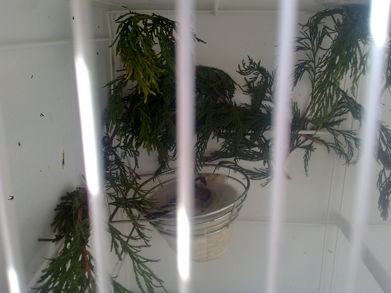 03052013306.jpg