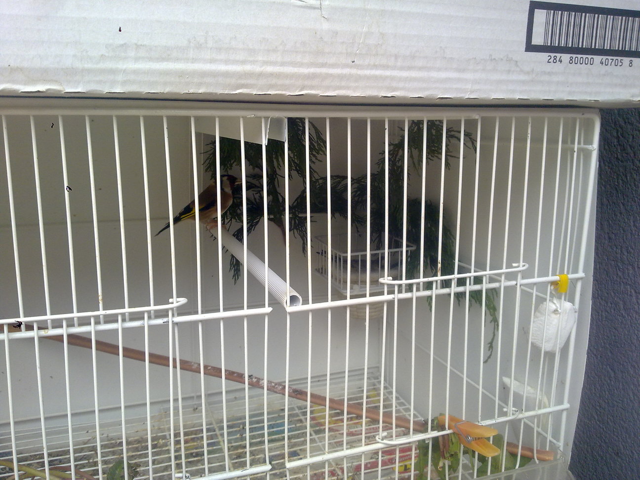 01052013299.jpg
