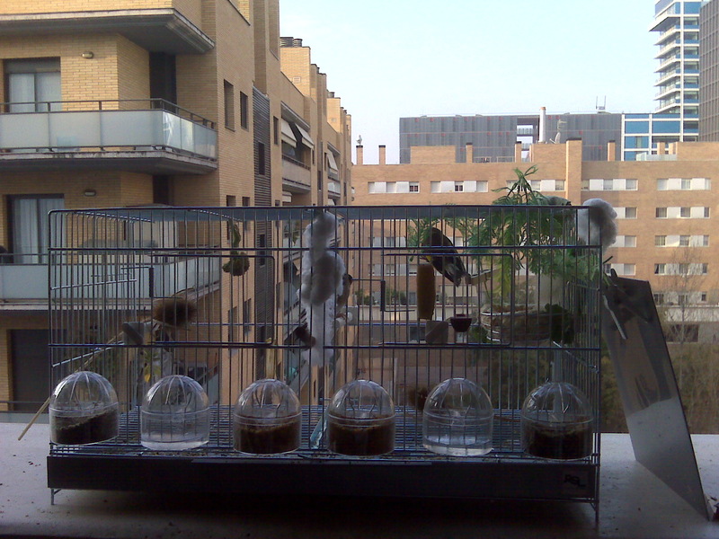 IMG00035.jpg