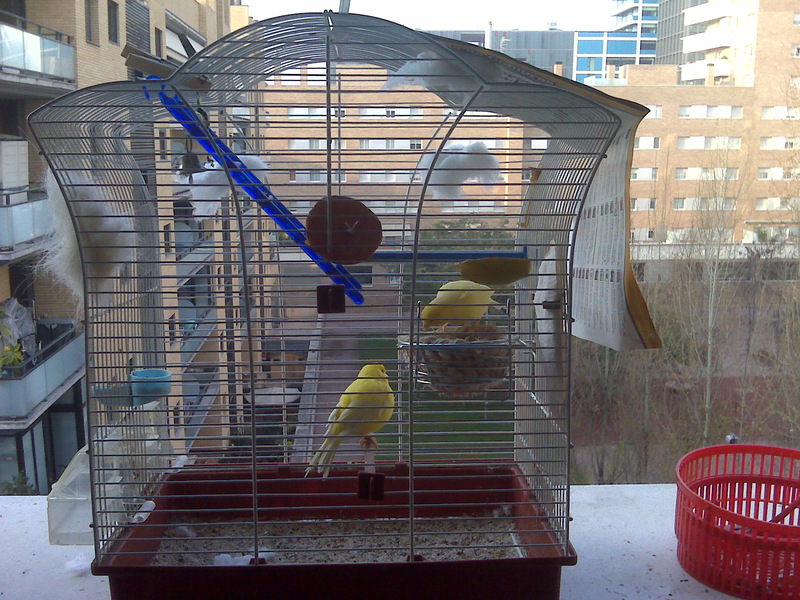 IMG00042.jpg