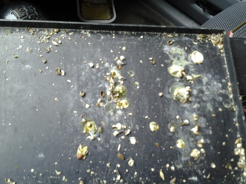 2013-05-10 13.53.20.jpg