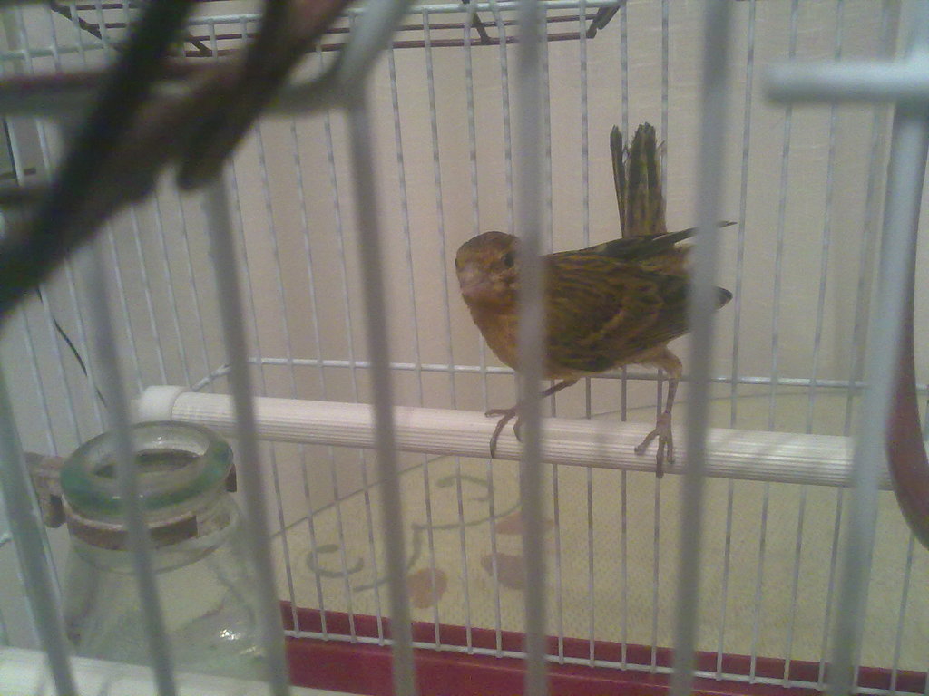 100520131611.jpg