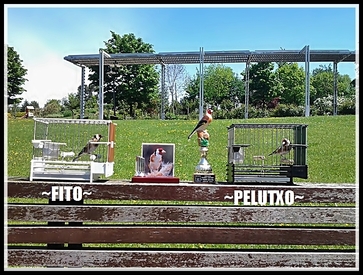 FITO Y PELUTXO. CONCURSO URDULIZ 2013.jpg