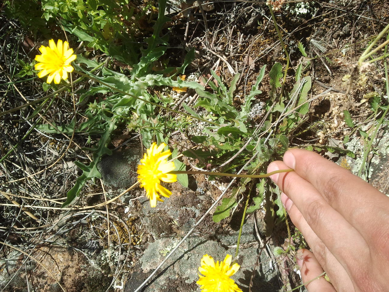 2013-05-11 12.55.43.jpg
