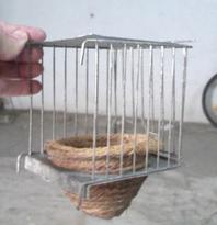 Estructura metálica y nido