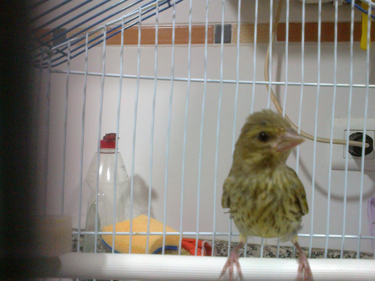 14052013152.jpg