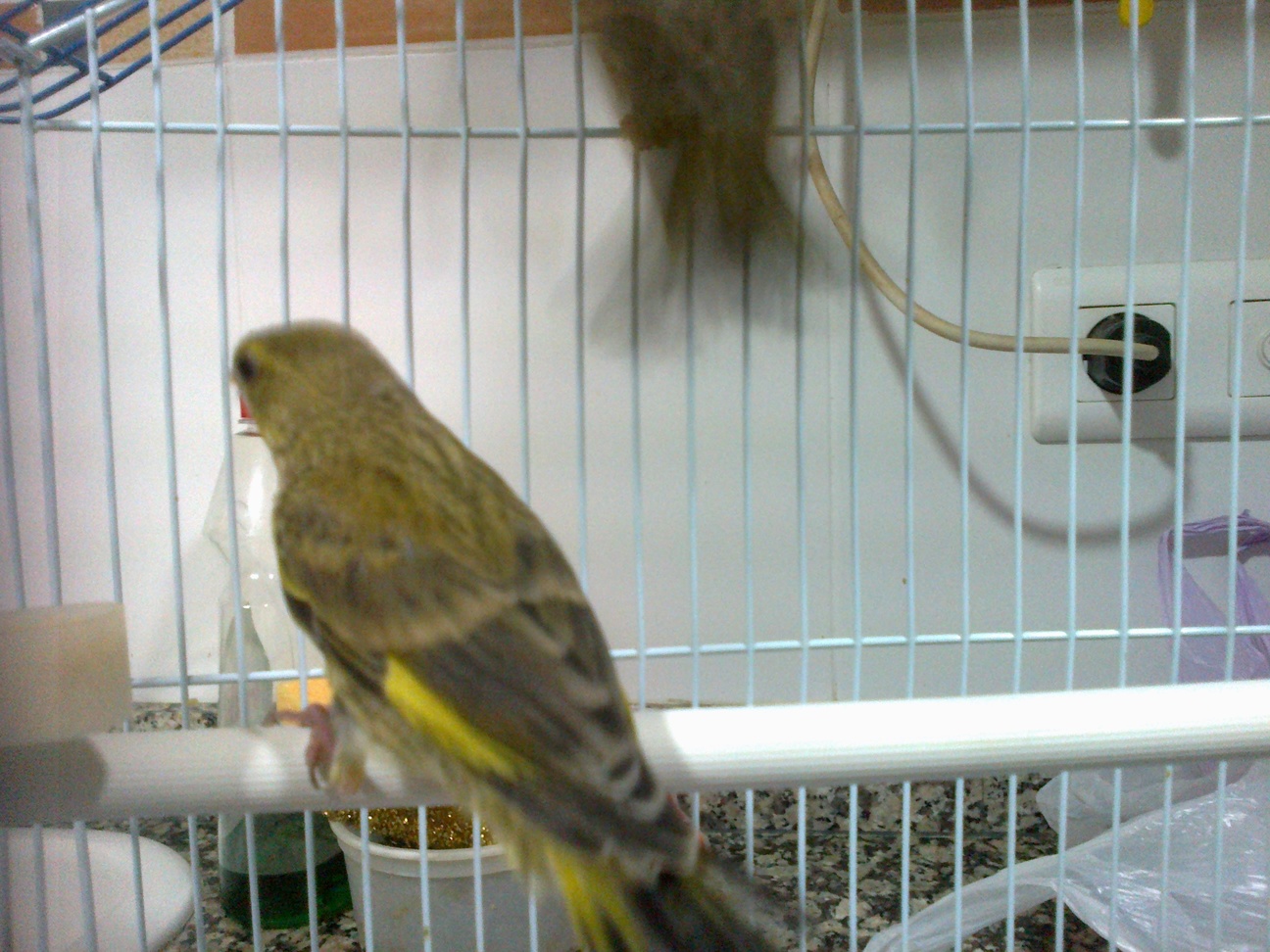 14052013156.jpg