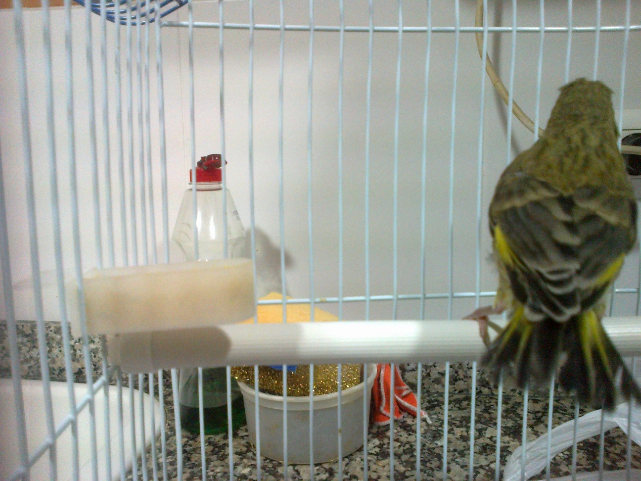 14052013155.jpg