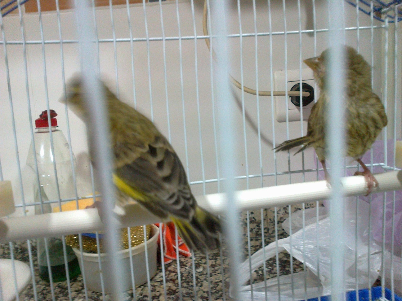 14052013154.jpg
