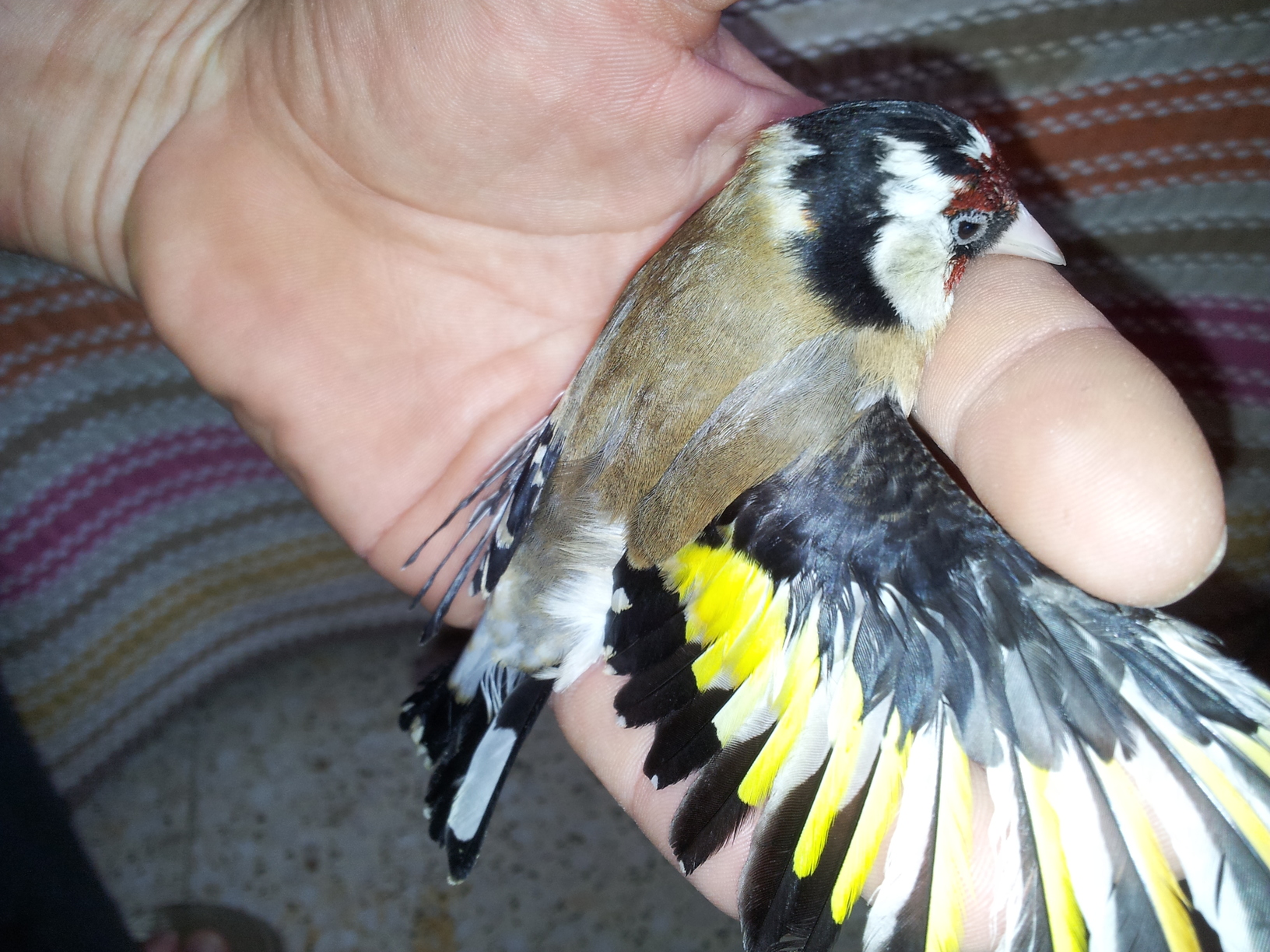 20130517_192701.jpg