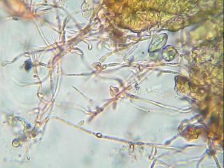 E:\Documents and Settings\Administrador.ILLUSION_V2\Mis documentos\Mis imágenes\Imagen 108.jpg