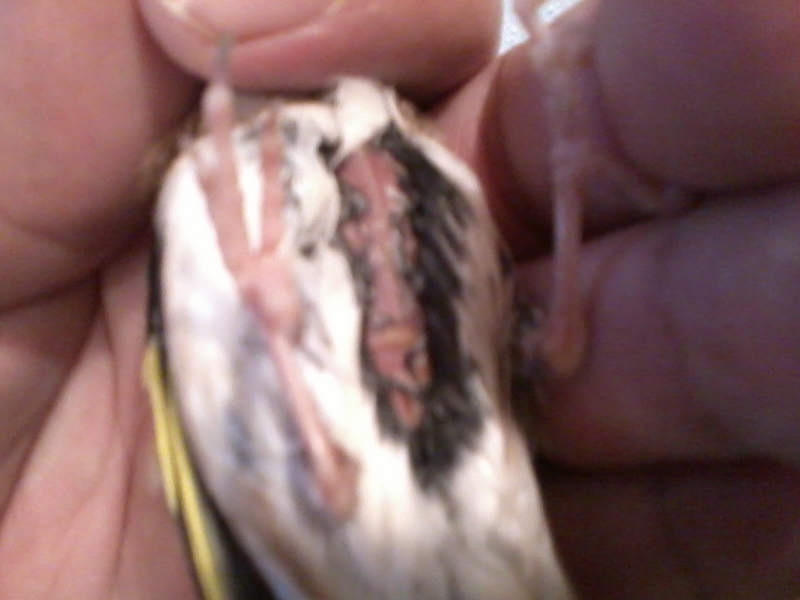 2013-05-18 14.47.34.jpg