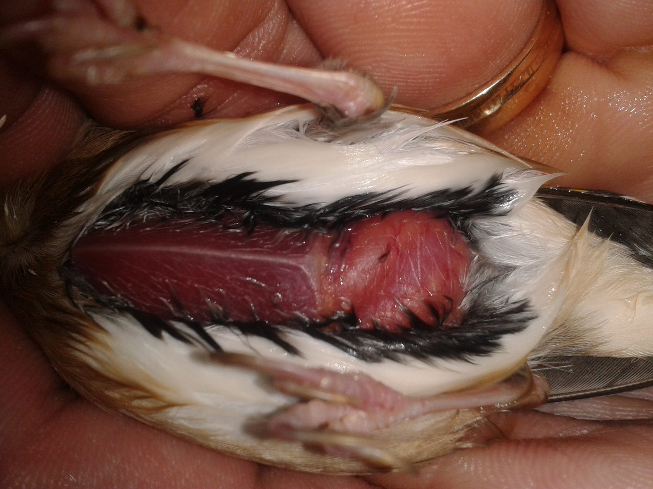 2013-05-18 19.29.29.jpg