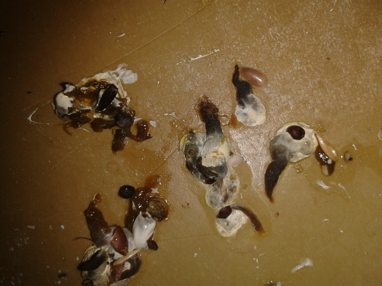 2013-05-18 19.30.00.jpg