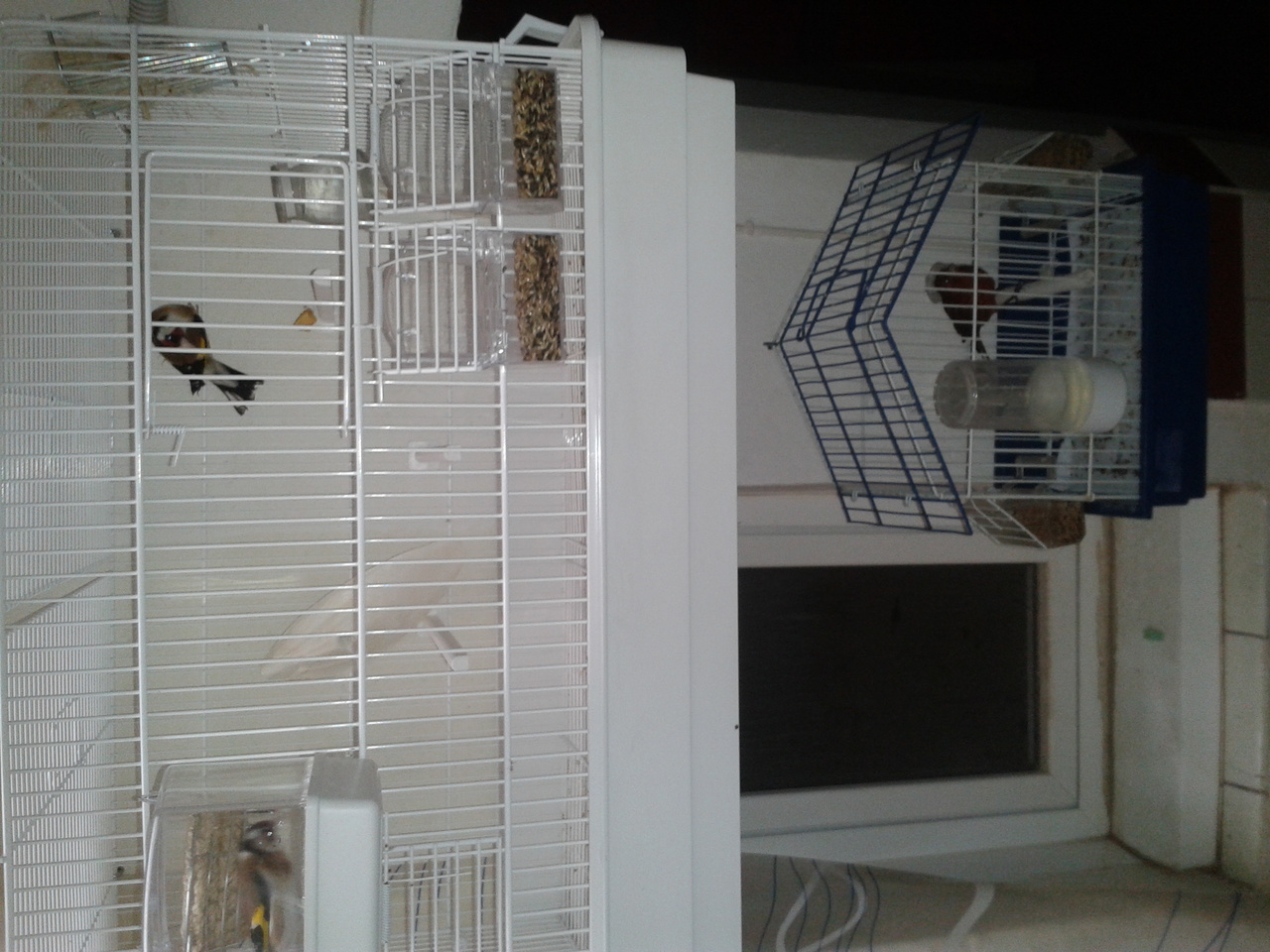 2013-05-19 09.46.03.jpg