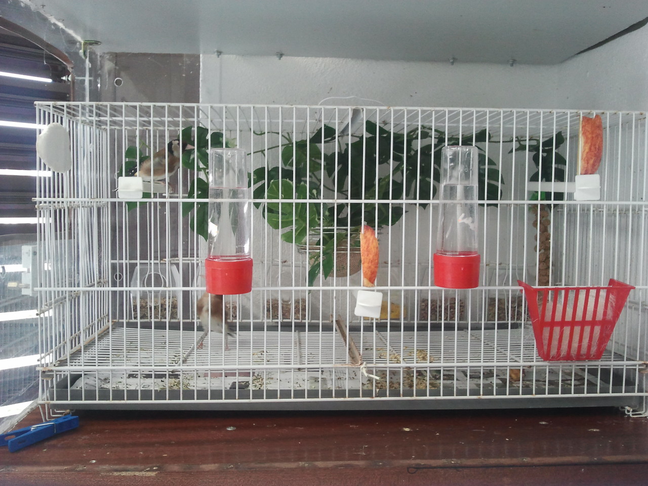 2013-04-26 16.28.04.jpg