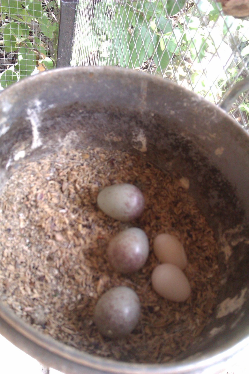 IMAG0283.jpg
