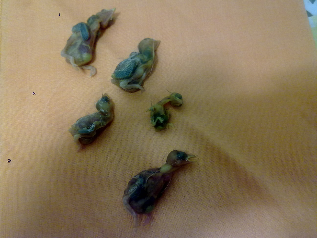 21052013331.jpg