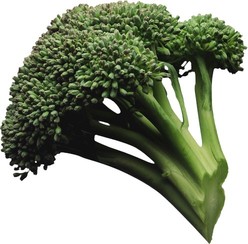brocoli.jpg
