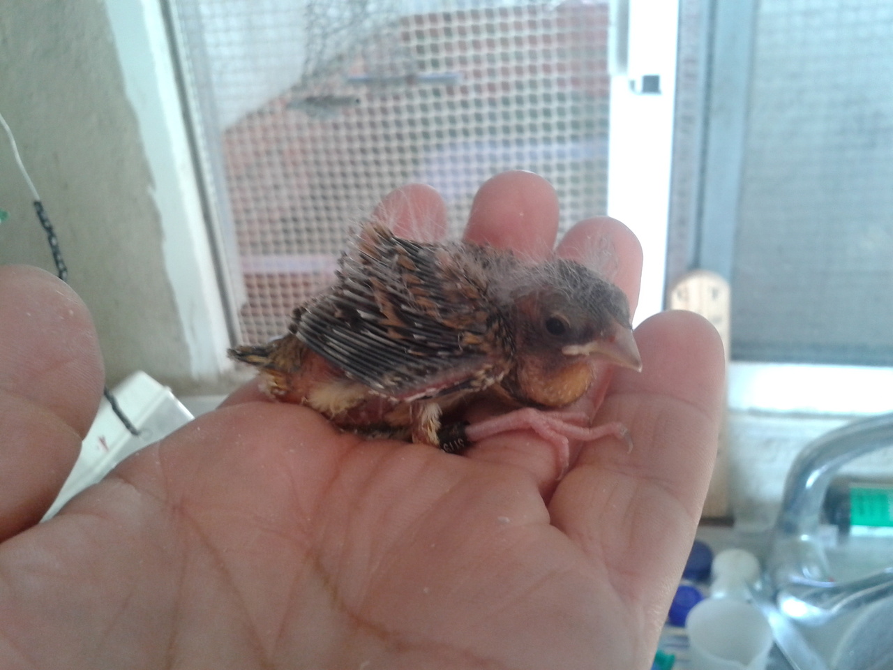 20130522_191358.jpg