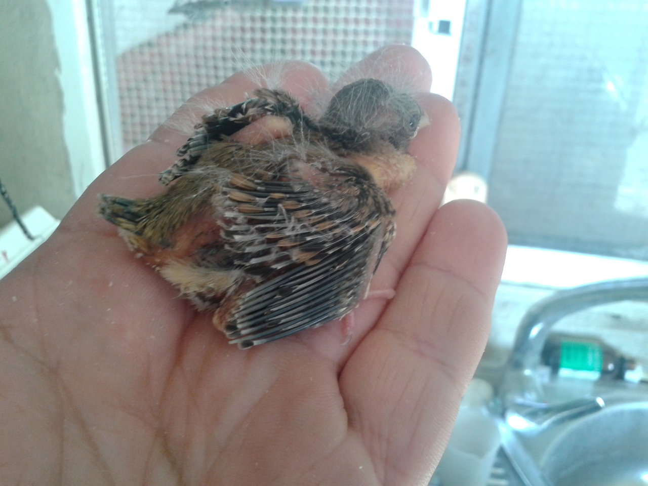 20130522_191409.jpg
