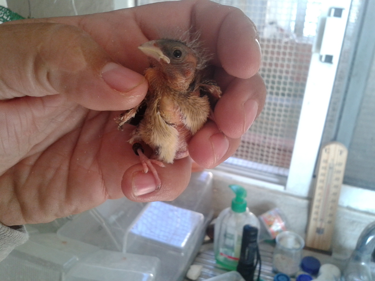 20130522_191433.jpg