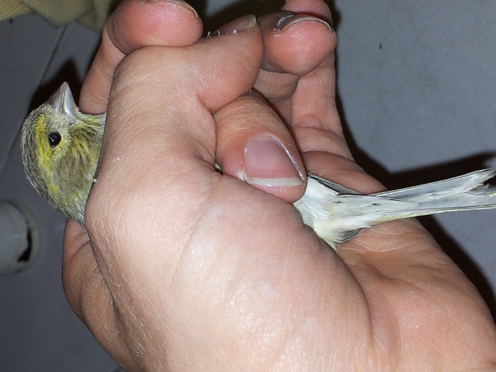 20130525_211755.jpg