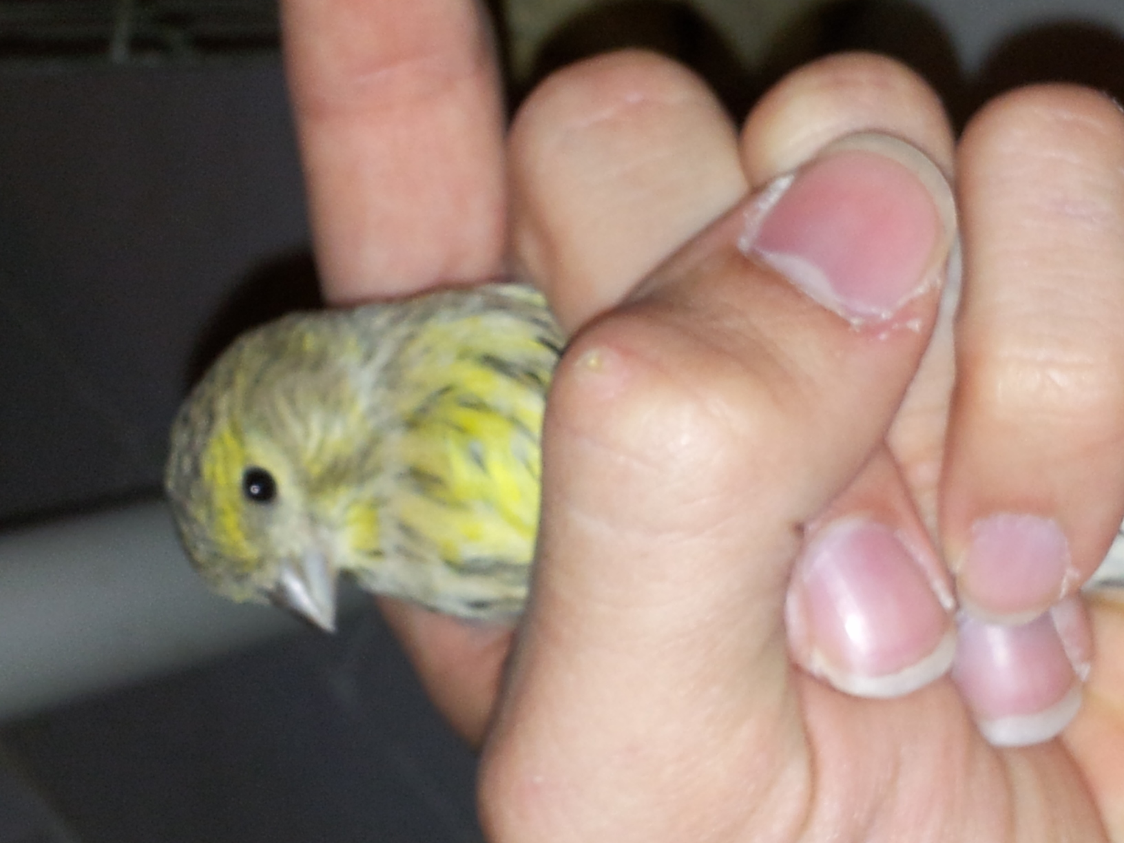 20130525_211803.jpg