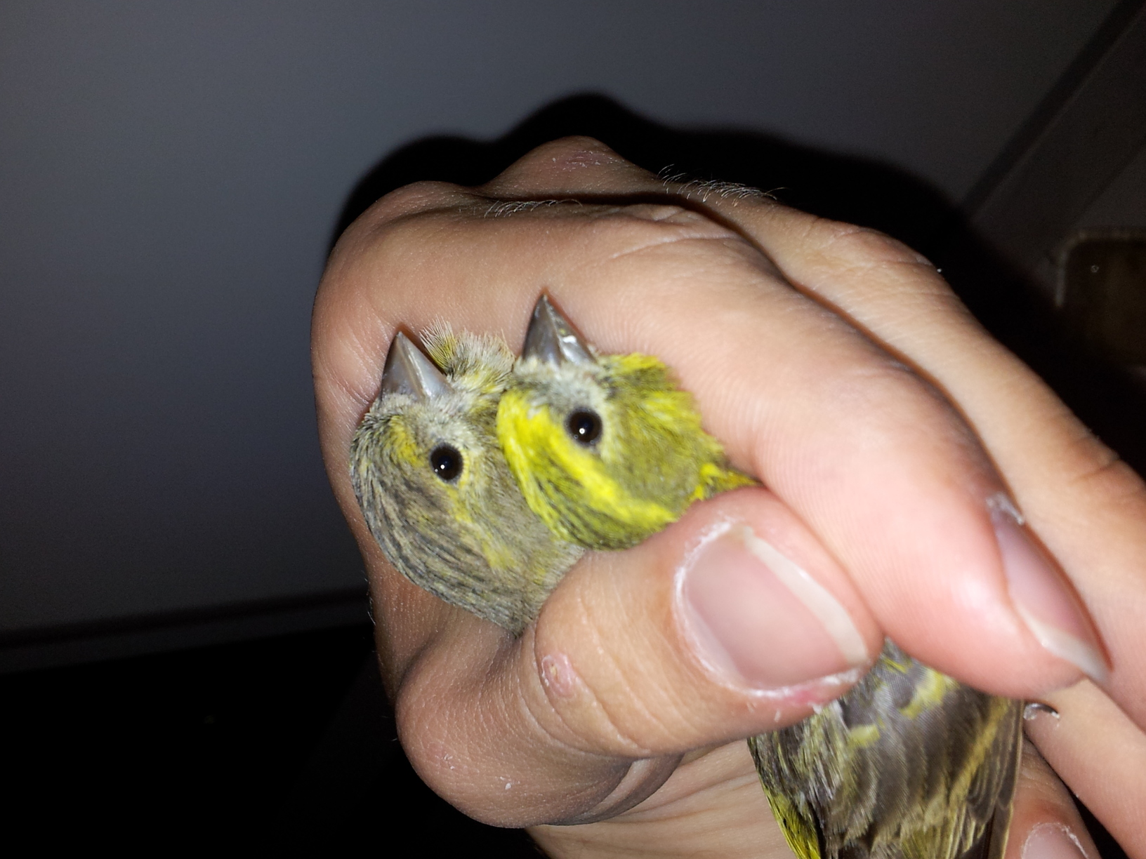 20130525_212027.jpg