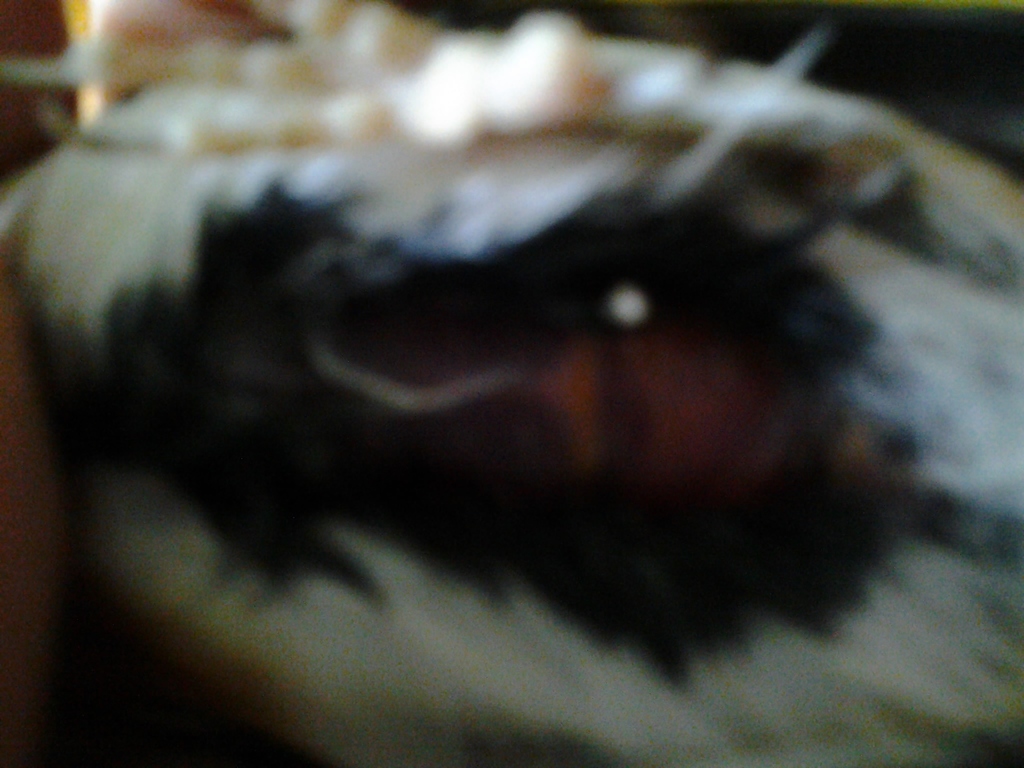 2013-05-26 08.03.13.jpg