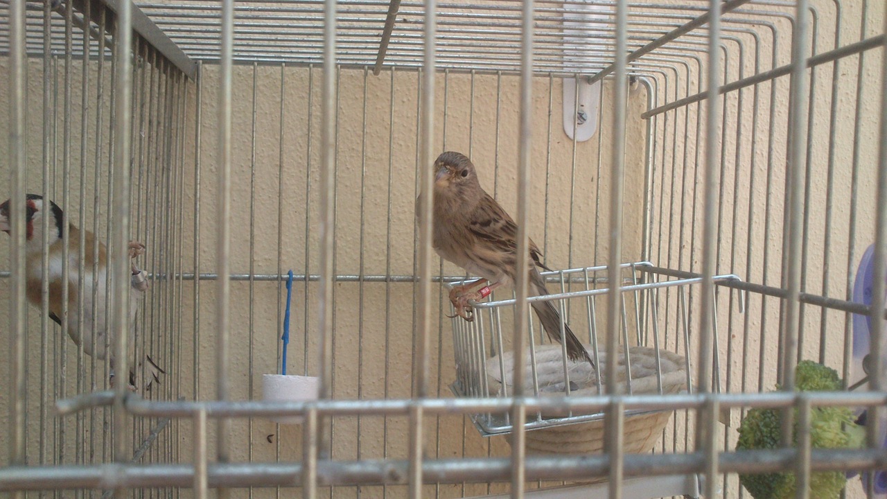 La madre y el papá.