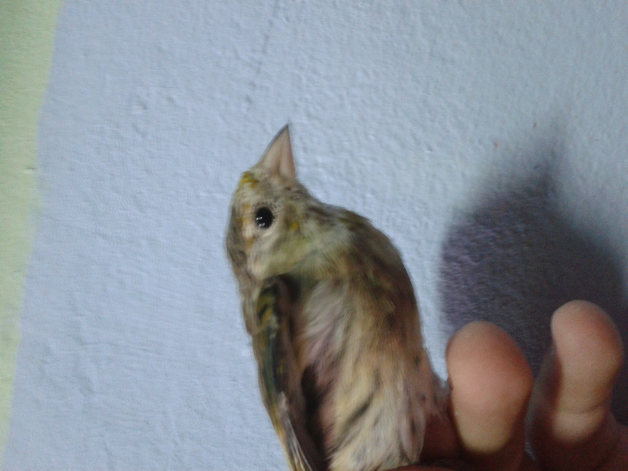 2013-05-27 09.37.14.jpg
