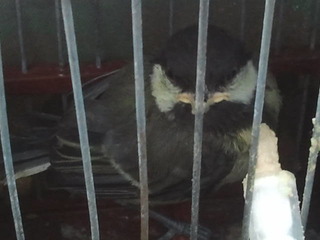 2013-05-27 18.52.29.jpg