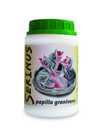 pssitacus serinus granivoros.jpg