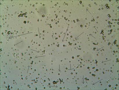 TS_05_22_11_33_45.JPG