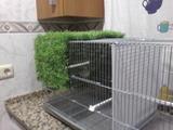 Foto0765.jpg