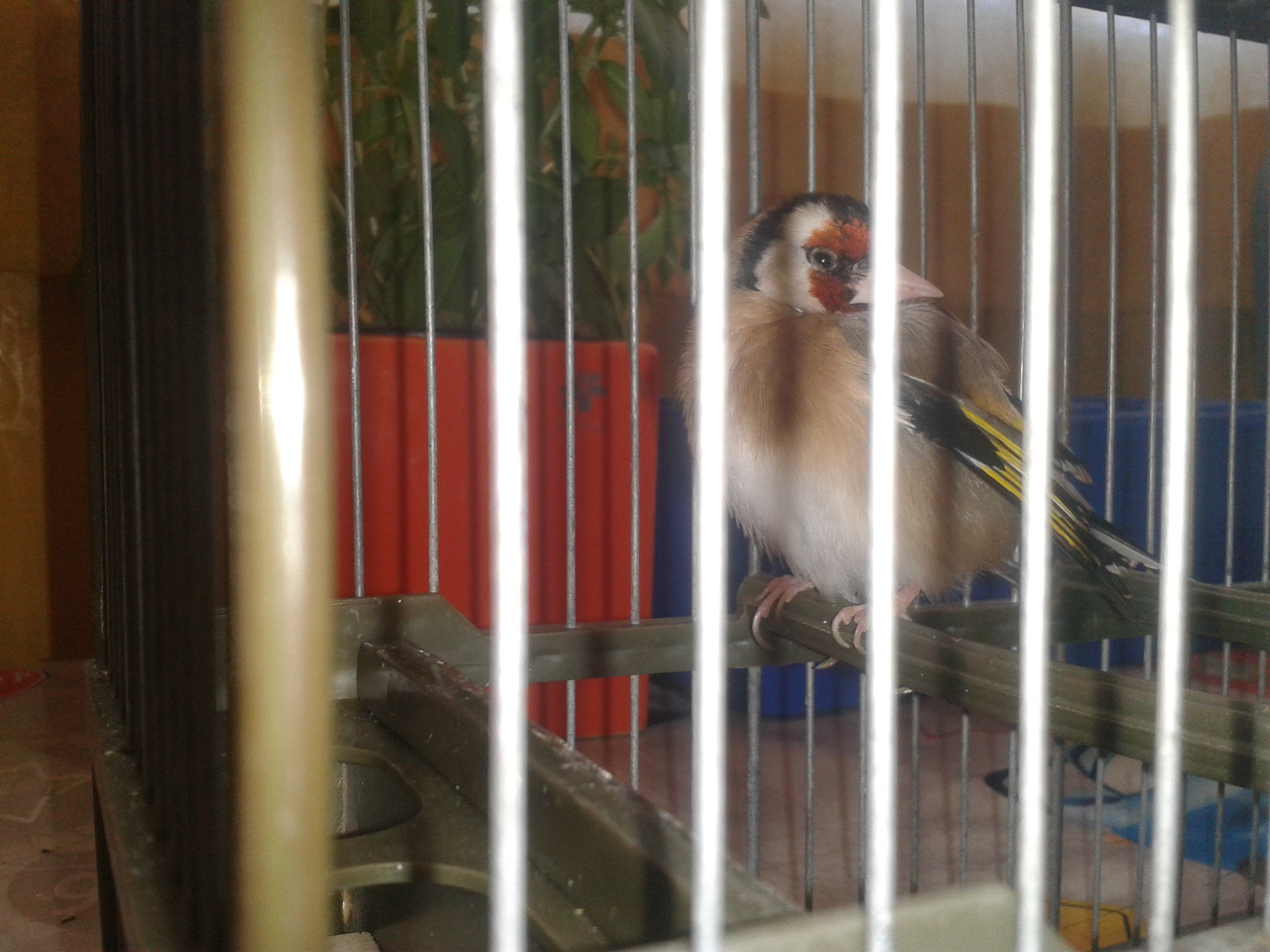 2013-06-08 15.27.12.jpg